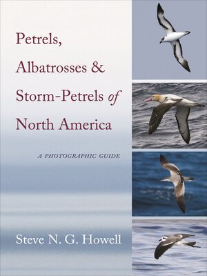 cover image of Petrels, Albatrosses, and Storm-Petrels of North America